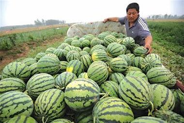 贩卖吃瓜视频大全,笑料百出，娱乐无限