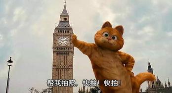 大马猴吃瓜的视频,趣味横生的动物日常