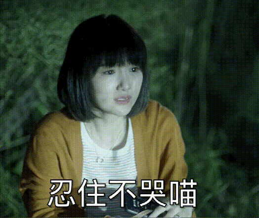 美女吃瓜视频表情包,美女吃瓜表情包，笑点满满，网友直呼“太上头”