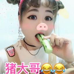 喂猪吃瓜的视频下载软件,喂猪吃瓜视频下载神器揭秘