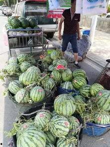 潮州北堤吃瓜事件视频,一场引发热议的街头冲突