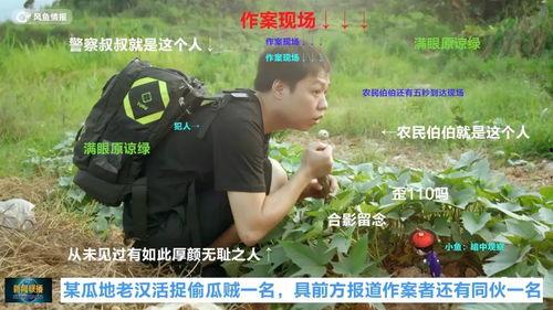 抓犯人的吃瓜群众视频是真的吗,抓犯人吃瓜群众视频的真实性探究
