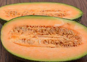 鱼儿吃哈密瓜视频大全,揭秘鱼儿对哈密瓜的神奇喜爱