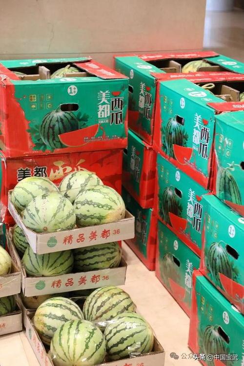 洋县吃瓜事件视频